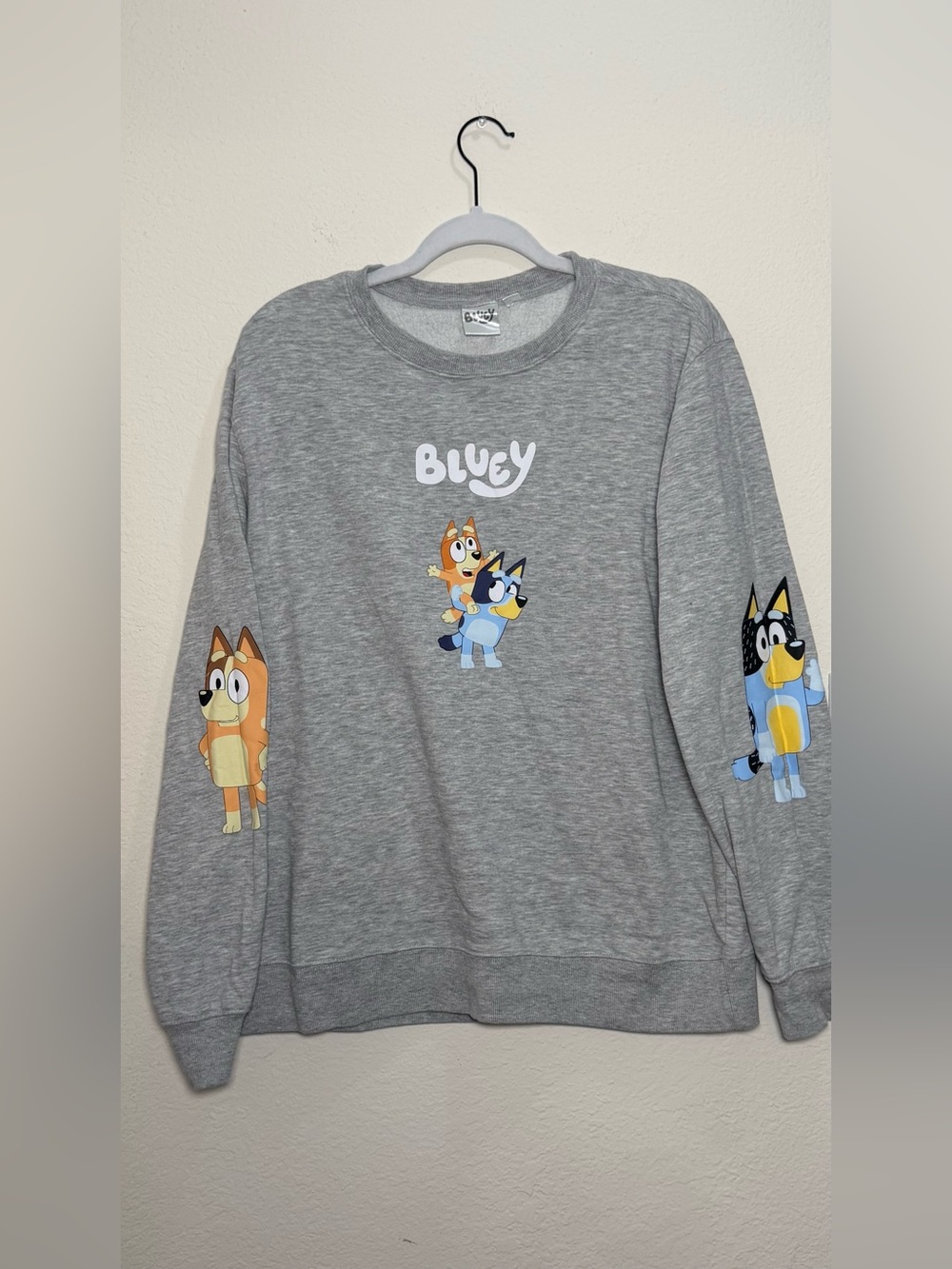 Bluey Graphic Sweatshirt Large Cartoon Cozy Pullover